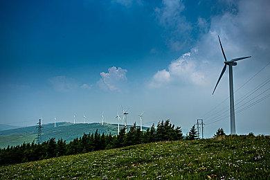 育碧员工暗示《刺客信条：代号Red》将于2024年发布